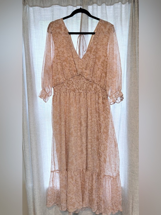 Dex Dresses & Skirts - Dex Sheer Blush Floral Midi Dress